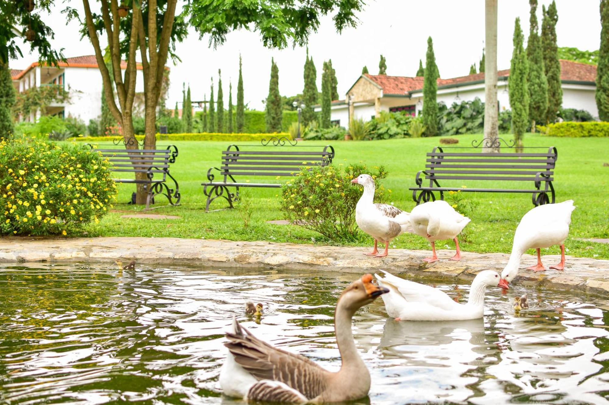 Hotel Campestre Cafe Cafe Montenegro Buitenkant foto